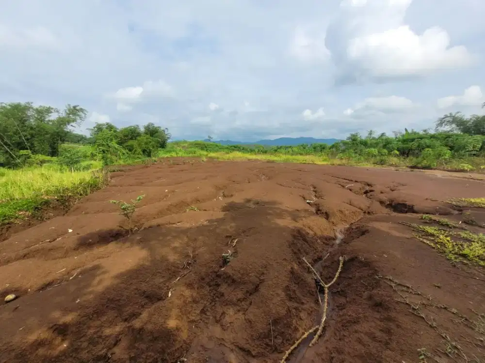 Tanah Strategis dan Murah di Kawasan Tempuran, Magelang dekat dengan Kampus 2 Universitas Muhammadiyah Magelang