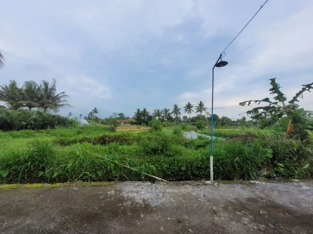 Tanah Strategis dan Murah di Kawasan Tempuran, Magelang dekat dengan Jalan Magelang-Yogyakarta