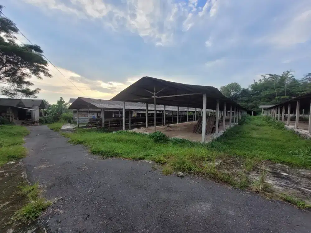 Gudang dan Kandang Ayam Strategis di Kawasan Srumbung, Magelang dekat dengan Jalan Raya Magelang-Yogya