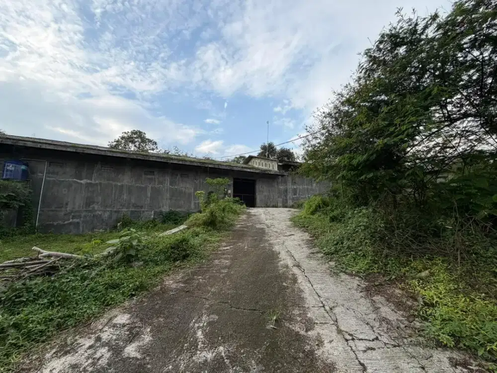 Gudang dan Kandang Ayam Strategis di Kawasan Srumbung, Magelang dekat dengan Jalan Raya Magelang-Yogya