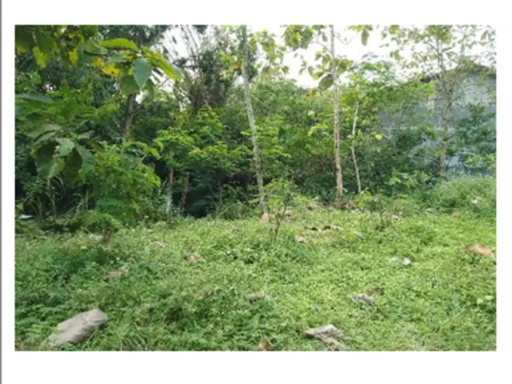 Tanah Strategis dan Murah di Kawasan Sawangan, Magelang dekat dengan Jalan Raya Magelang-Yogya