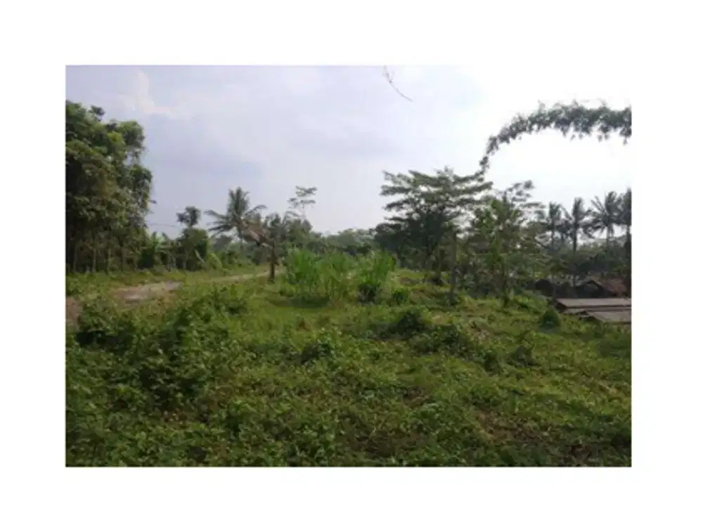 Tanah Strategis dan Murah di Kawasan Srumbung, Magelang dekat dengan Jalan Raya Magelang-Yogya