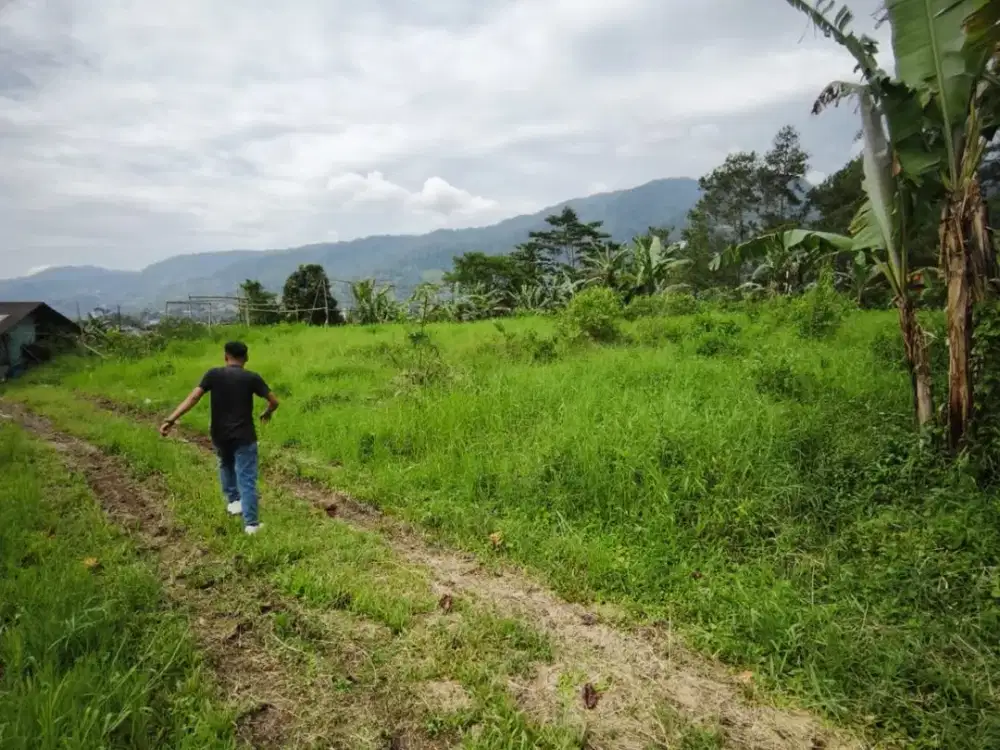 DI JUAL TANAH DARAT DI PUNCAK DESA BATU LAYANG KEC. CISARUA BOGOR.