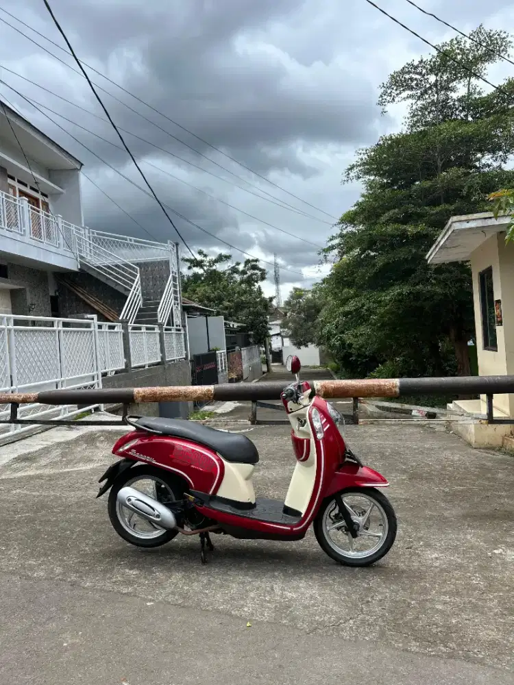 Honda scoopy 2013