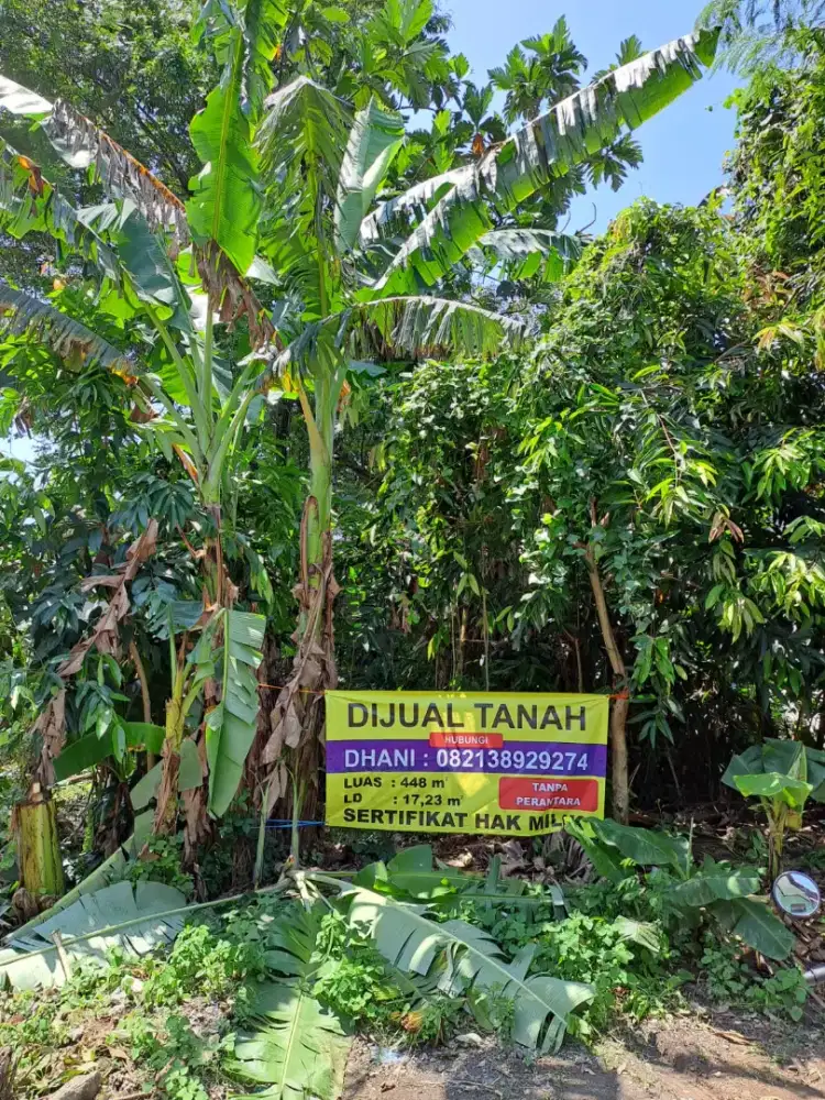 Jual Tanah di Pelemsewu Sewon Bantul