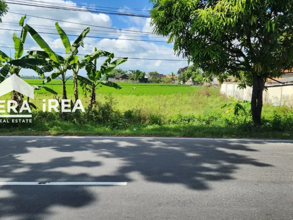 DIJUAL TANAH DI SRAGEN MASARAN DEKAT PASAR MASARAN