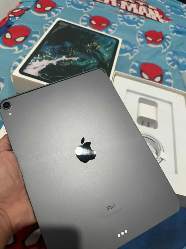 Ipad Pro tahun 2018 penyimpanan 256GB