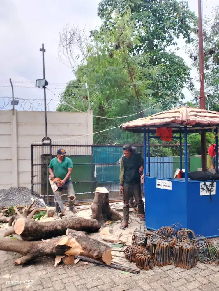 Jasa tebang poho,pangkas pohon