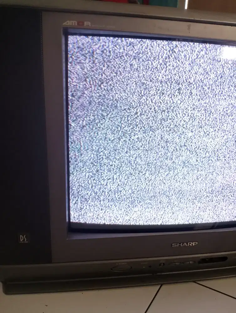 Sharp Amor DS 21 Inch