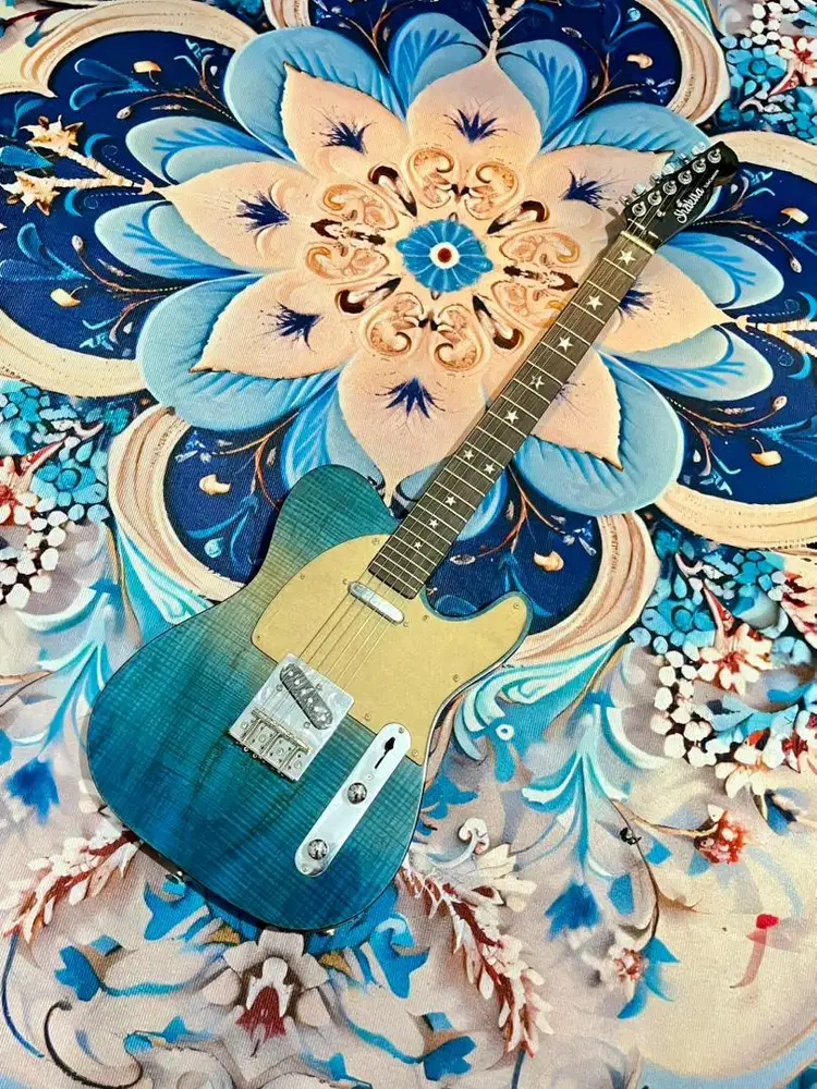 Shakira Telecaster Electric Guitar