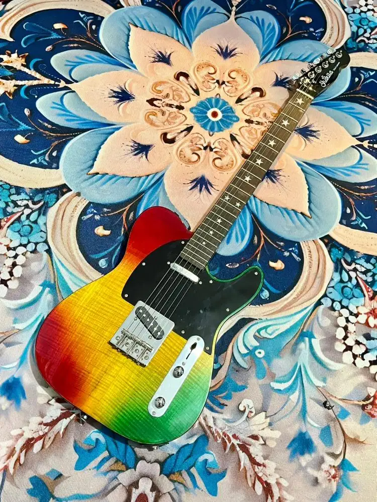 Shakira Telecaster Electric Guitar