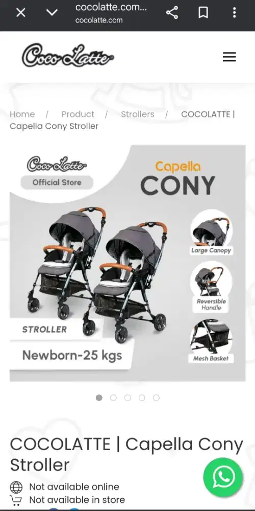 Stoller Chocolate Capella Cony ( Second )