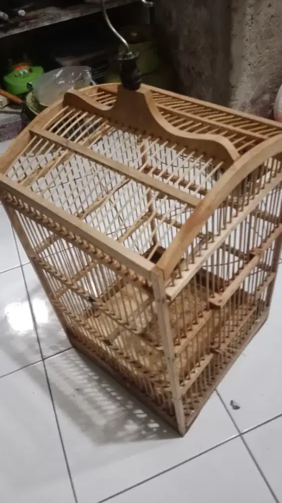 jual sangkar ciblek