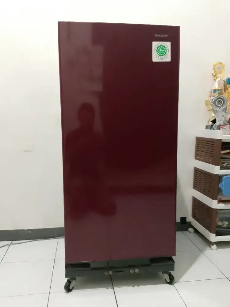 Kulkas Sharp 1 pintu normal mulus