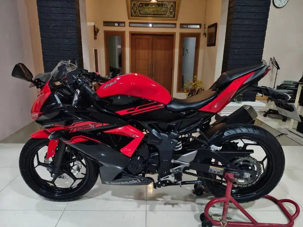 2017 Kawasaki Ninja Mono 250SL