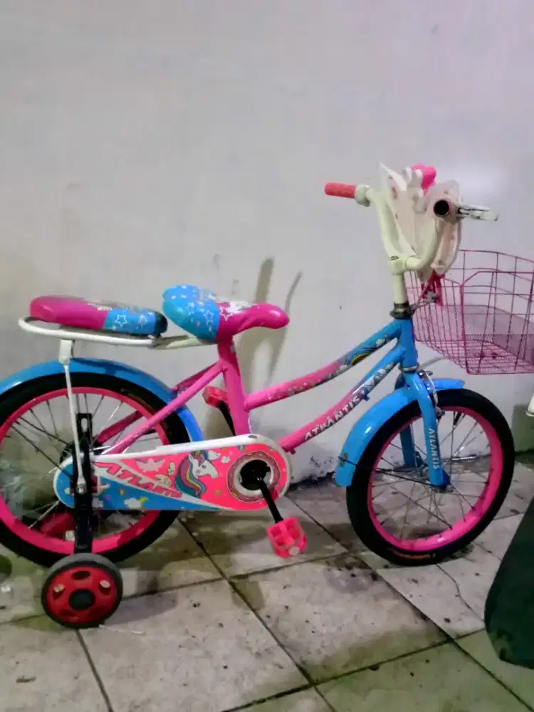 Sepeda anak cewe uk 16