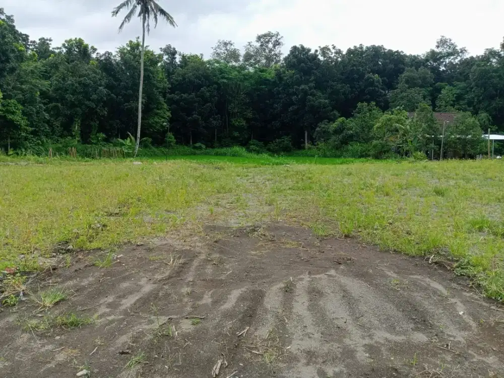 Tanah Jakal Dibawah 2,5 jt/m2 Lokasi Strategis Dekat Kampus UII
