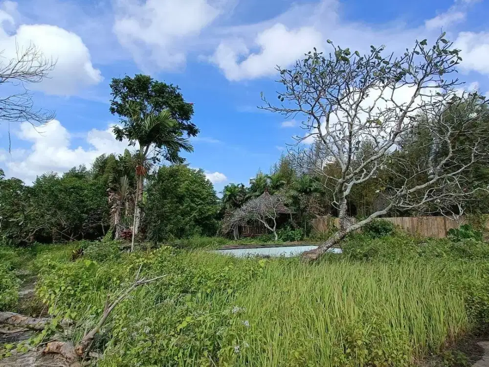 Tanah Bagus 21,79 Area Dijual, di Kerobokan Kelod, Kuta Utara Area