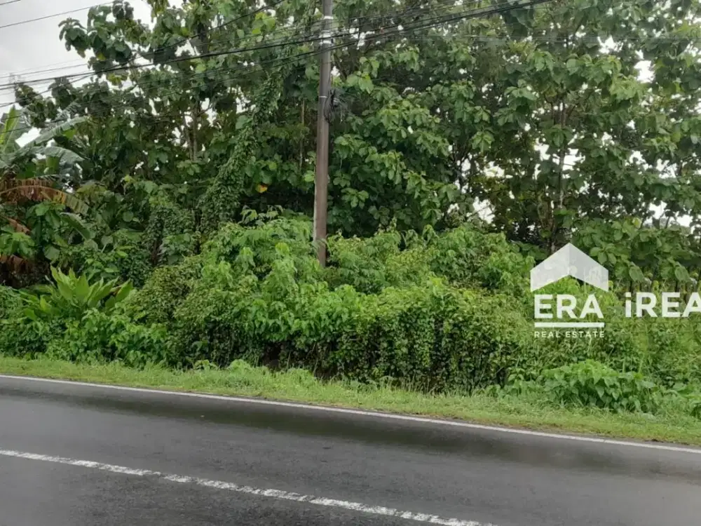 TANAH DIJUAL DI KARANGANYAR DEKAT DENGAN WADUK LALUNG