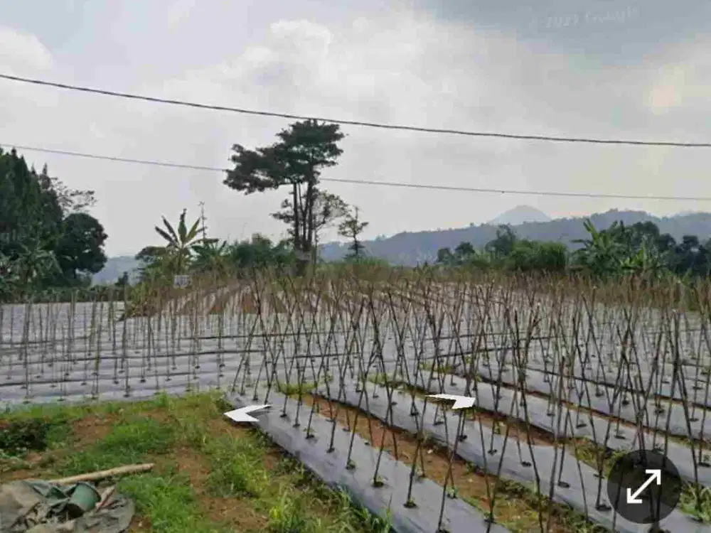 Di jual tanah sangat cocok untuk villa