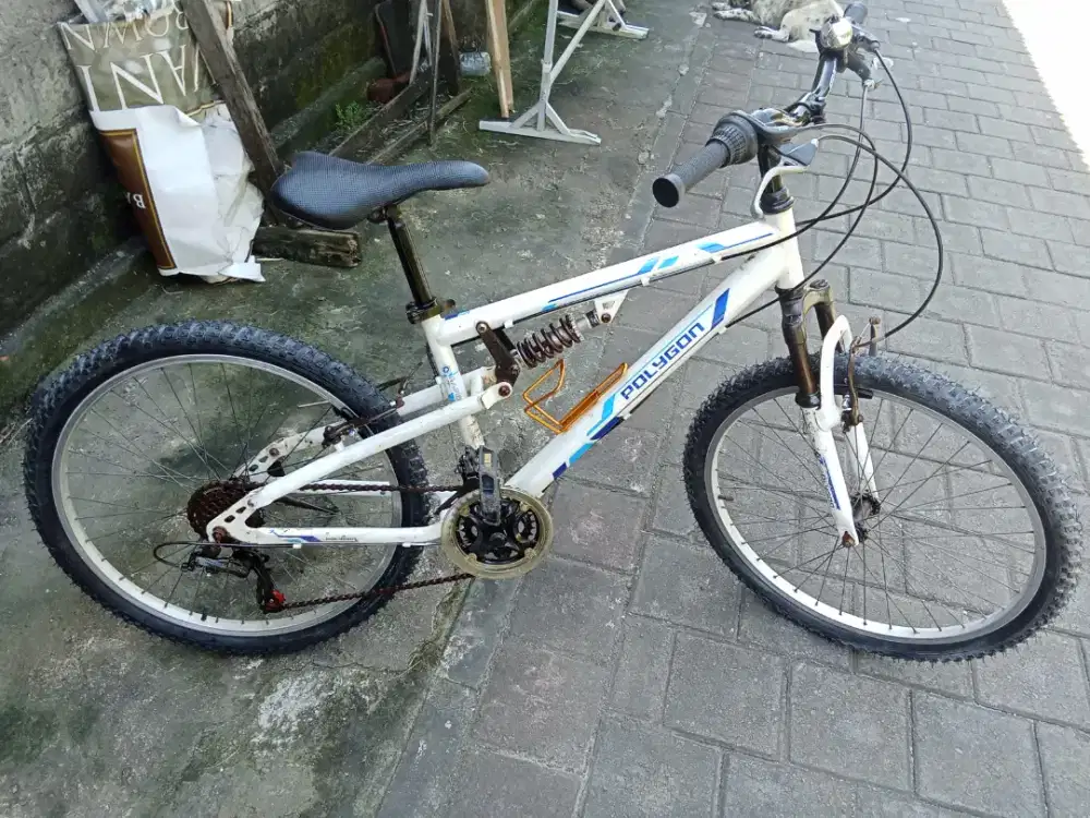 Sepeda POLYGON RAPID R 24