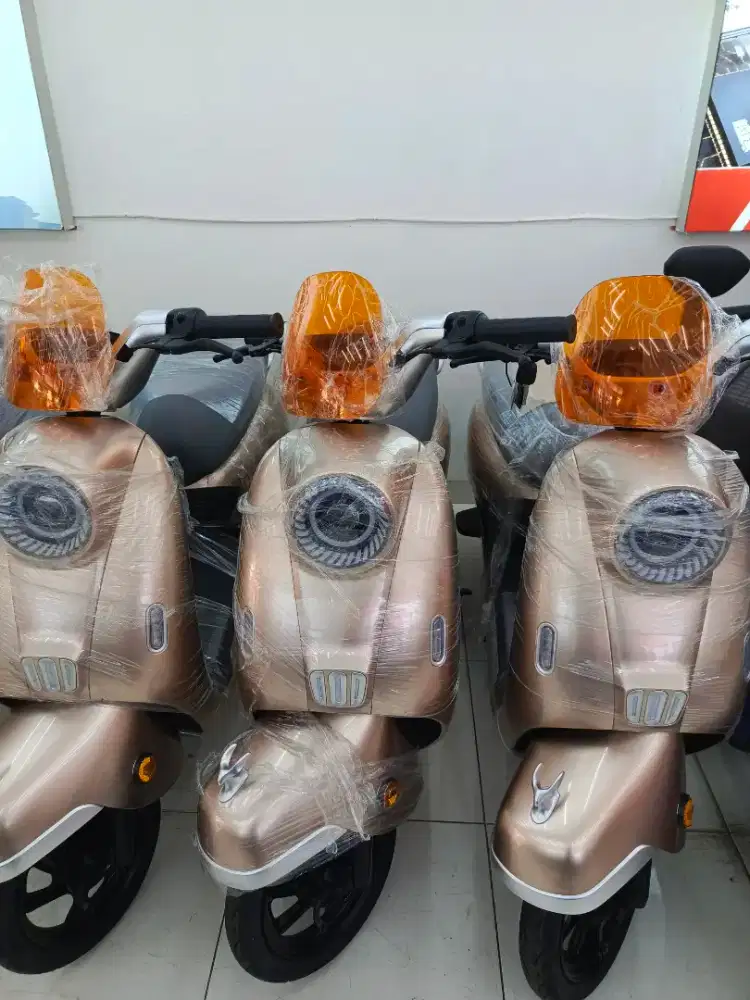 Sepeda listrik Uwinfly tipe T65L