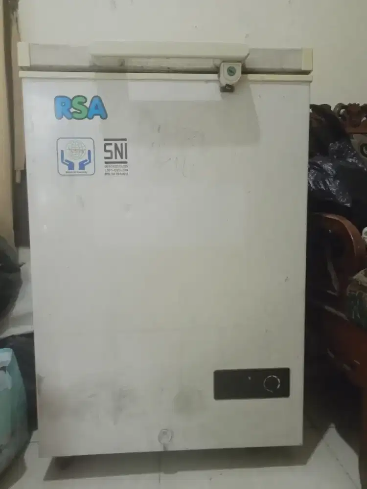 Freezer RSA CF 100