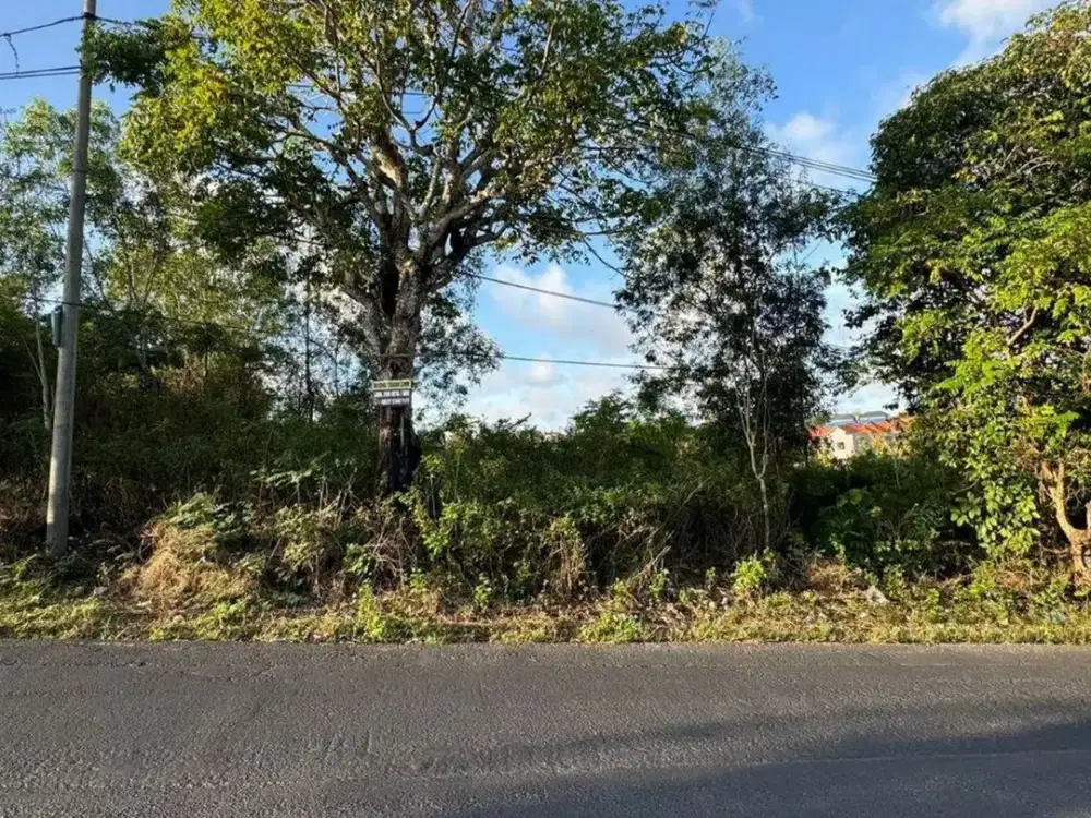 Tanah 8 Are di Pinggir Jalan Dijual, di Dharmawangsa, Ungasan Area