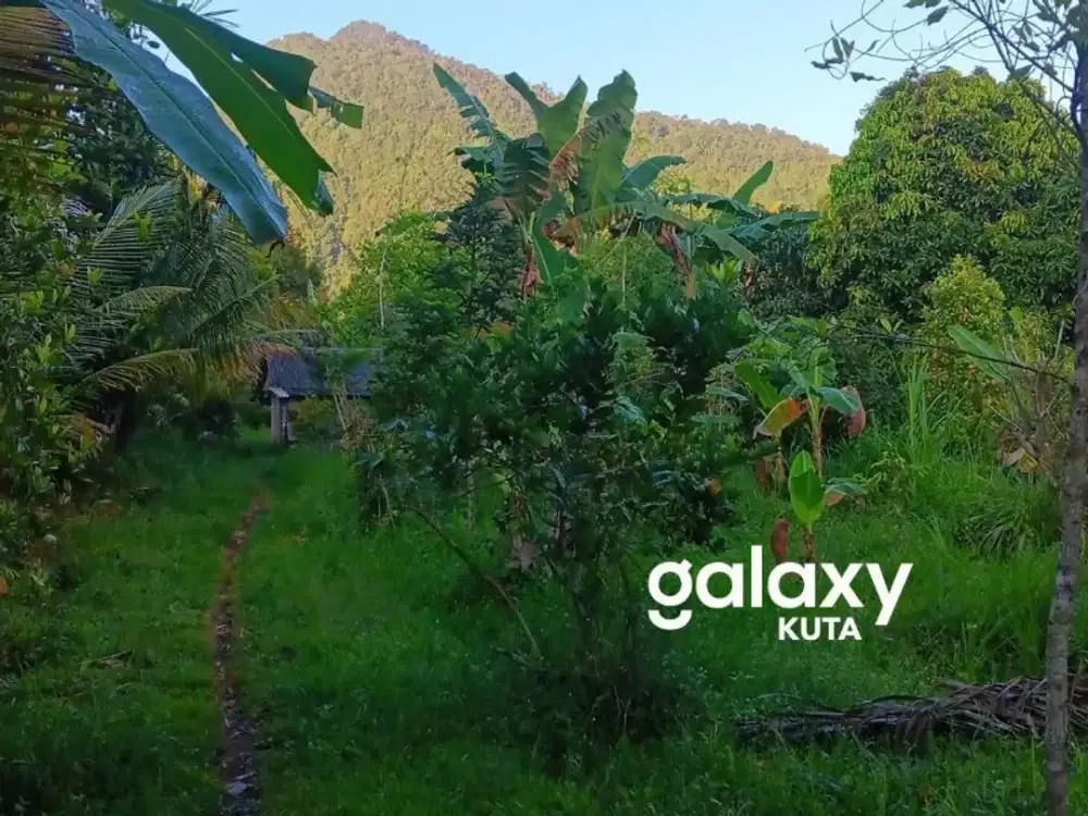 DIJUAL TANAH SEKUMPUL SAWAN BULELENG