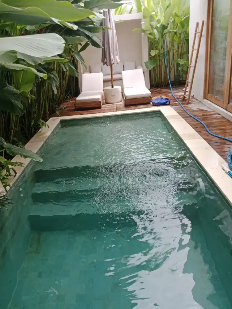 Jasa Free-lance pool