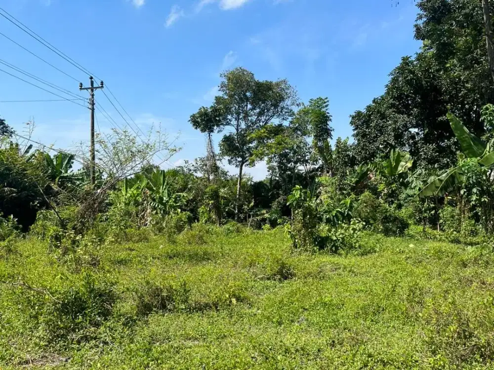 Tanah Murah Selatan Kampus UII, dekat Pandanaran