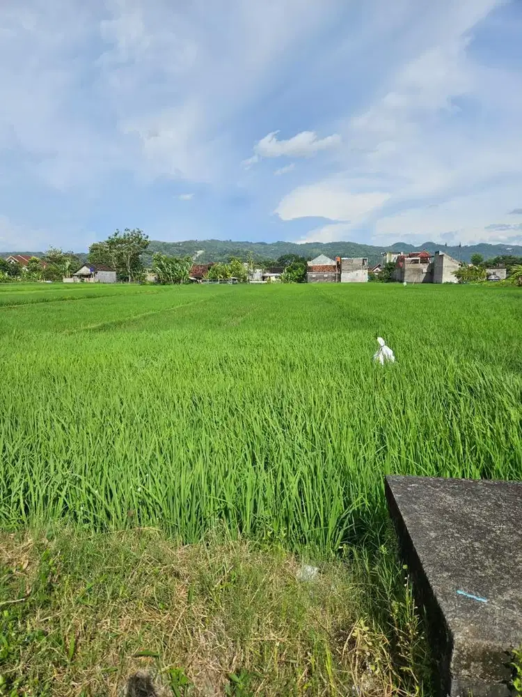 DIJUAL TANAH TANPA PERANTARA