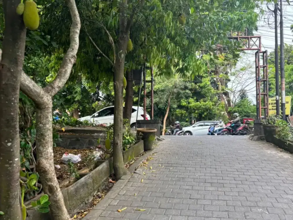 JUAL TANAH PREMIUM RENON