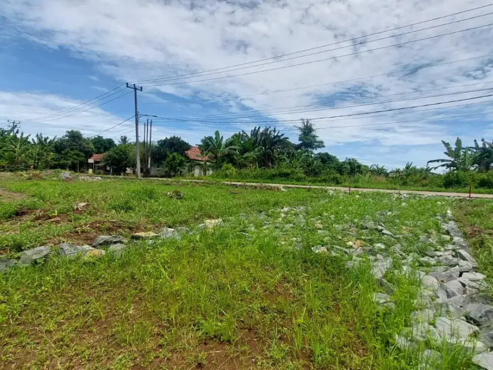 Mulai 1Jtan/M! Tanah SHM Cisauk Pinggir Jalan Dekat Stasiun Baru Jatake