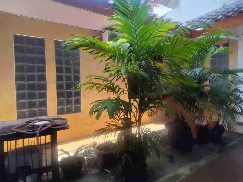 Disewakan rumah terawat nyaman asri siap huni LT 240 LB 135 KT 3+1dekat LRT tol bekasi barat