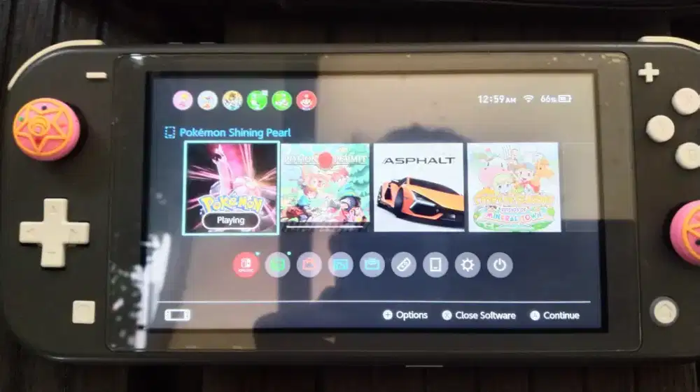 Nintendo switch lite ofw