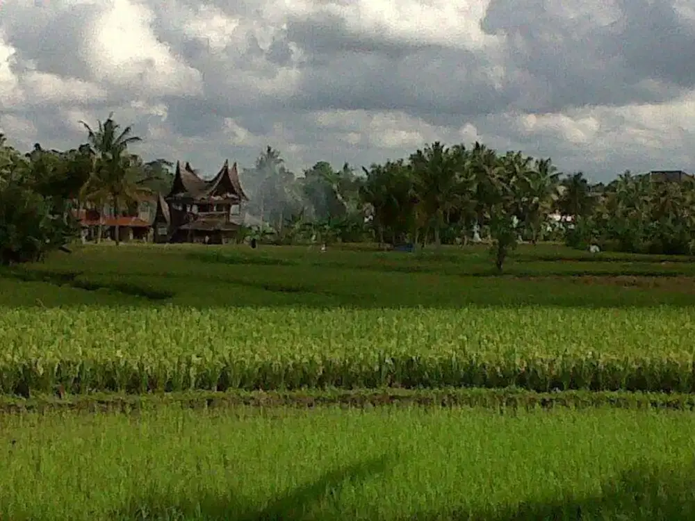 Leasehold - Rare Land for Sale in Ubud - 2 Mins from Odette Ubud, Bali!