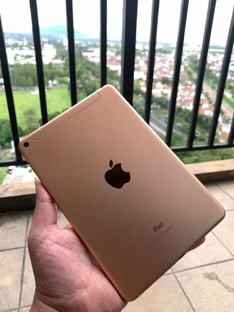 ipad mini 5 64 GB wifi+cell