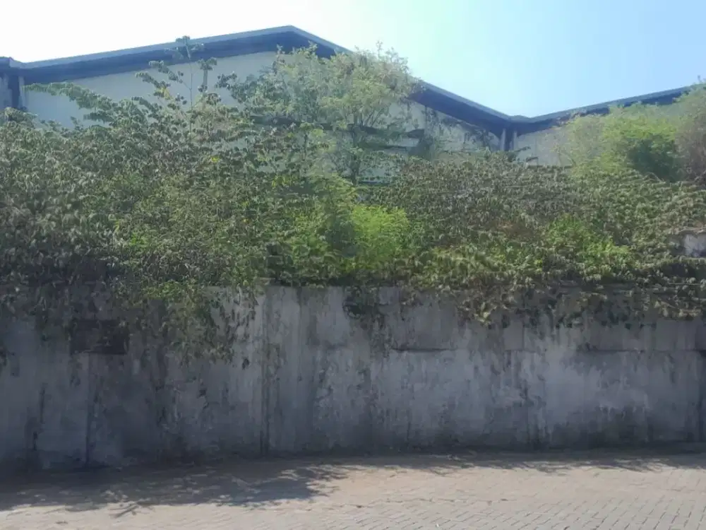 Gudang Butuh Renovasi Luas SHM di Margomulyo Lokasi Strategis