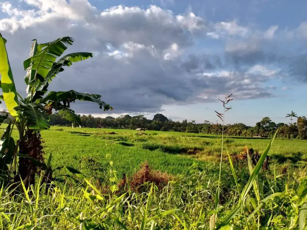 Tanah Kavling 3 Are Dijual, di Desa Sesandan, Tabanan Area