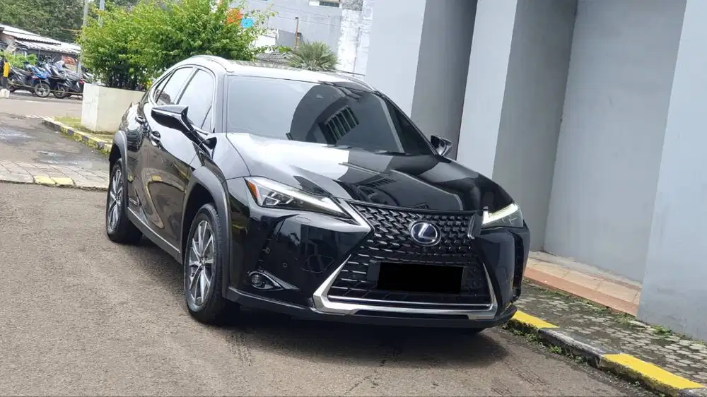 [ LOW KM ] Lexus UX300 UX 300 Electric EV AT 2022/2023