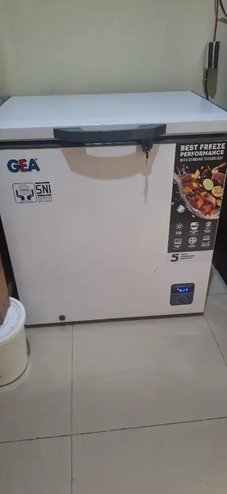 Frezeer GEA 210 liter automatic