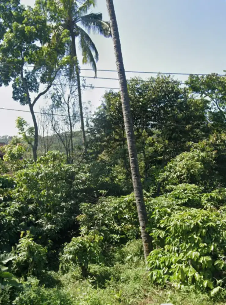 Kebon Kopi Strategis