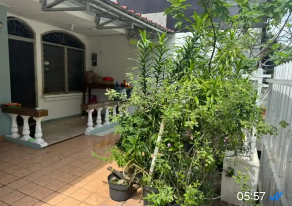 Jual Butuh Rumah 1.5 Lt 
Kelapa Cengkir Kelapa Gading 
Jakarta Utara