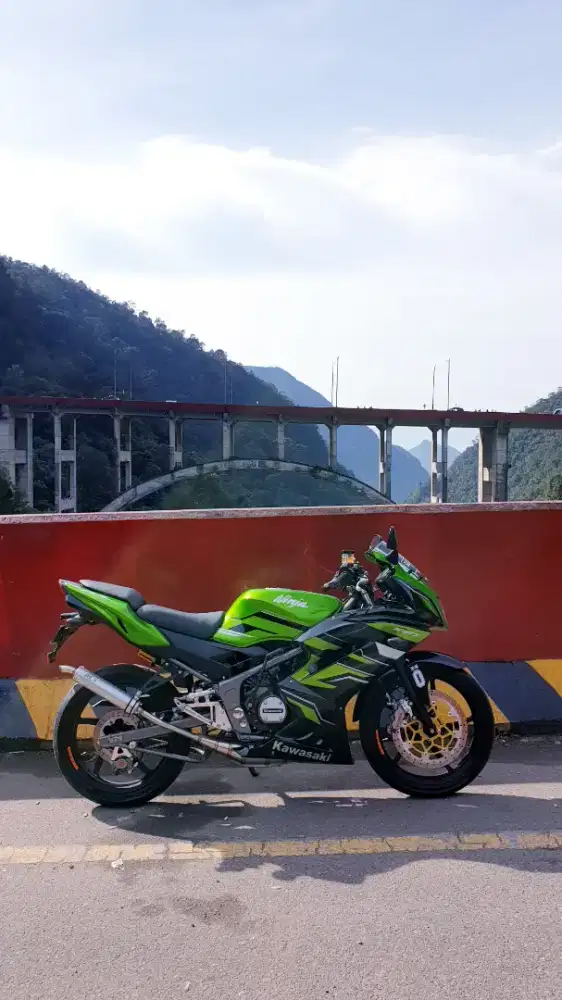 KAWASAKI NINJA 150 RR