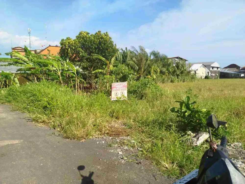 Jual Tanah Luas 1.27are/127m² Harga Global Lokasi Jl Trengguli Denpasar dekat Mall.