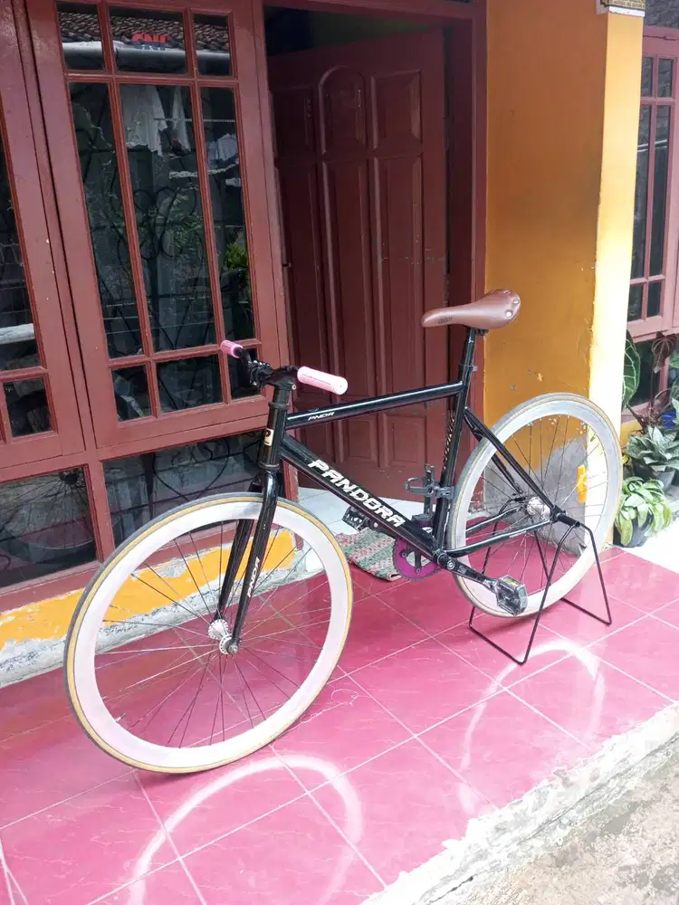 Fixie Police Pandora