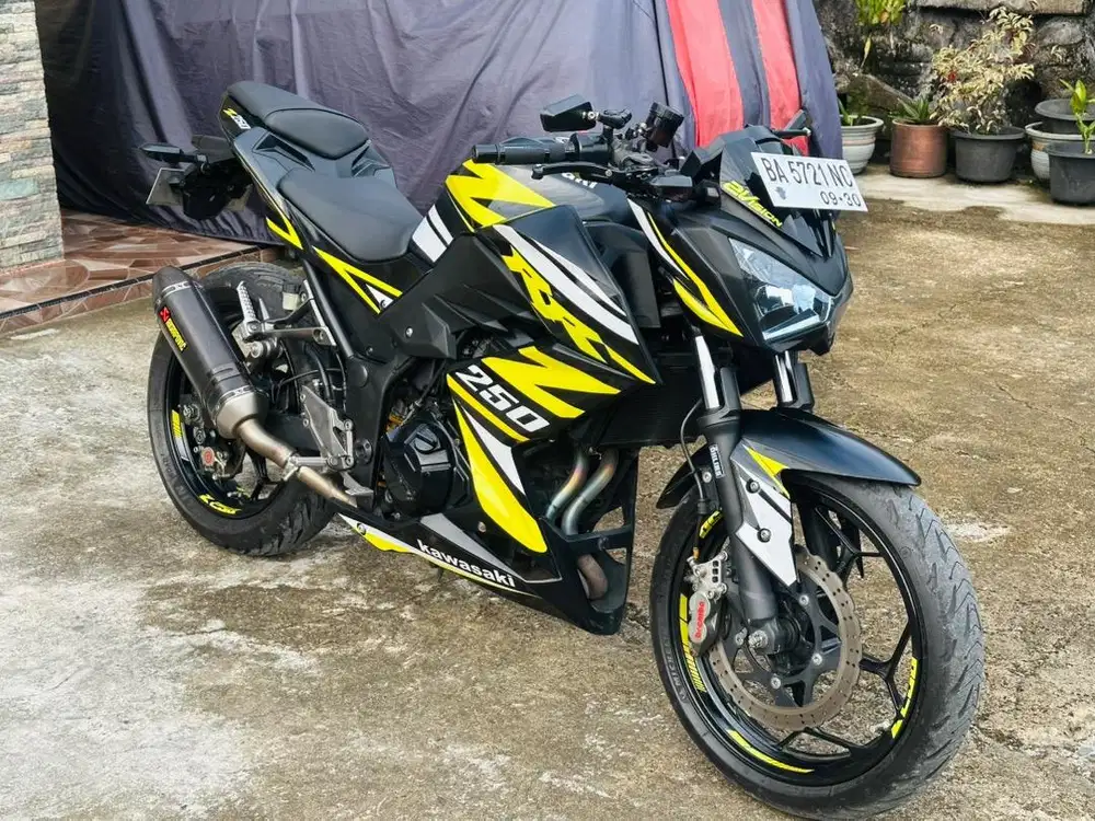 Kawasaki Ninja Z250 2018 KM LOW