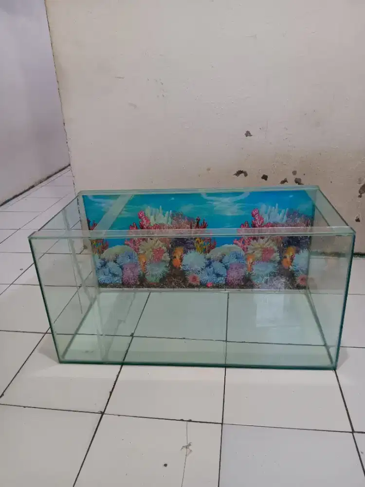 Aquarium ukuran 80×40×40