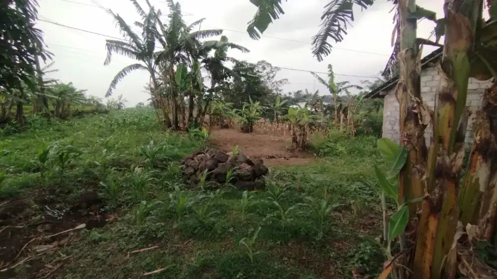 Dijual Tanah di Karangjati ungaran dekat pemukiman dan Pabrik